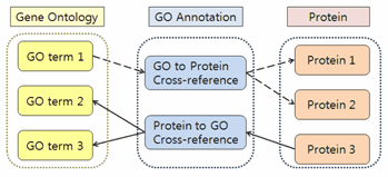 Figure 2. Cross-reference scheme between GO and protein