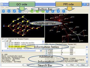 Figure 1. PINGO system interface