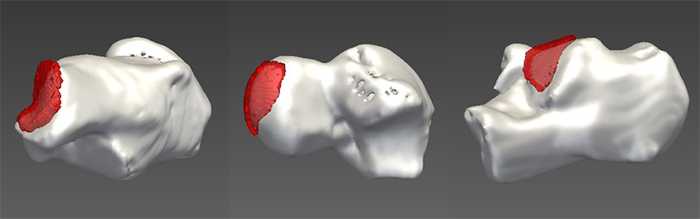 Figure 4. 3D visualization of the segmented joint space (shown in red) using the proposed method. From left to right, calcaneocuboid joint, talonavicular joint, and talocalcaneal joint.