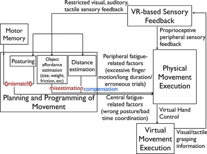 Figure 6. Conceptual interaction model for grasping control